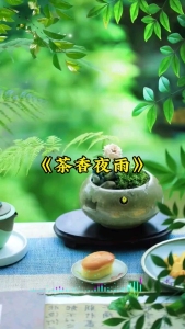 茶香夜雨-钢琴谱