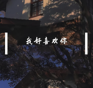 我好喜欢你-钢琴谱