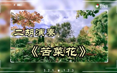 苦菜花随想曲(二胡)-钢琴谱