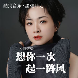 想你一次起一阵风-钢琴谱