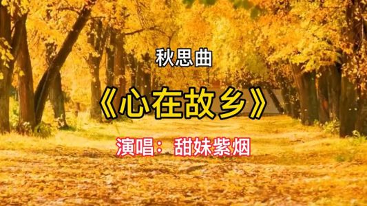 心在故乡-钢琴谱