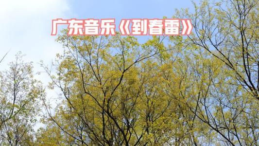 到春雷-钢琴谱