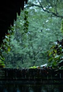 半山听雨(尺八版)-钢琴谱