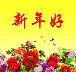 新年好(葫芦丝)-钢琴谱