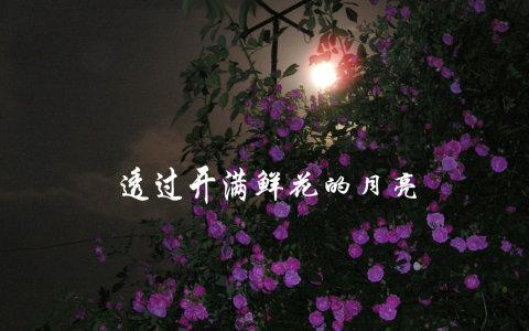 透过开满鲜花的月亮-钢琴谱