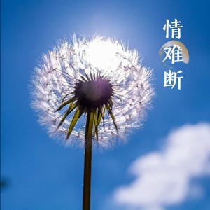 情难断-钢琴谱