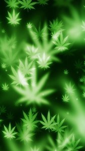 叹岁月如刀-钢琴谱