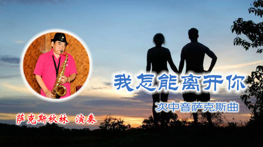 我怎能离开你(萨克斯)-钢琴谱