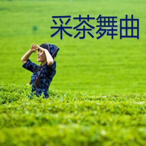 采茶舞曲-钢琴谱