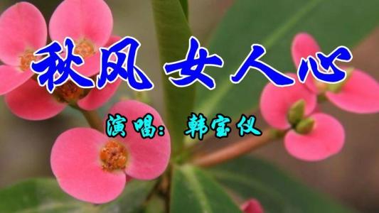 秋风女人心-钢琴谱