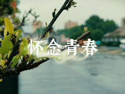 怀念青春-钢琴谱