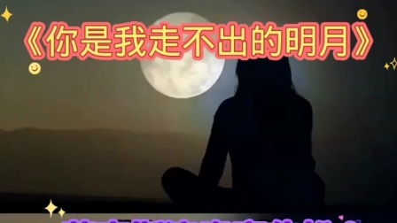 你是我走不出的明月-钢琴谱