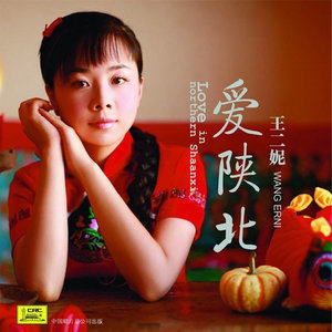 钢琴曲山丹丹花开红艳艳双手简谱-钢琴谱