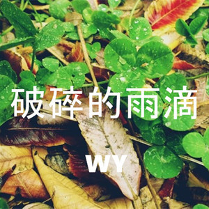 破碎的雨滴-钢琴谱