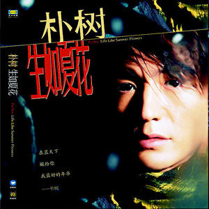 轻音乐-钢琴谱