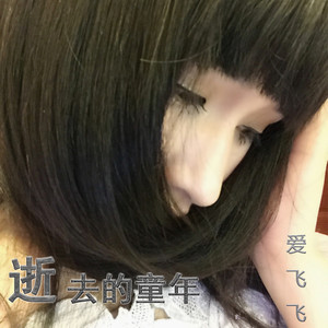 逝去的童年鋼琴簡(jiǎn)譜 數(shù)字雙手 逝去的童年鋼琴簡(jiǎn)譜 數(shù)字雙手