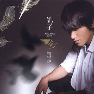some tender song-钢琴谱