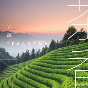 茶香钢琴简谱 数字双手