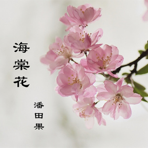海棠花-钢琴谱
