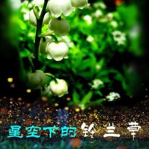 林間嬉戲鋼琴簡譜 數(shù)字雙手 林間嬉戲鋼琴簡譜 數(shù)字雙手