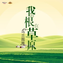 我的根在草原-钢琴谱