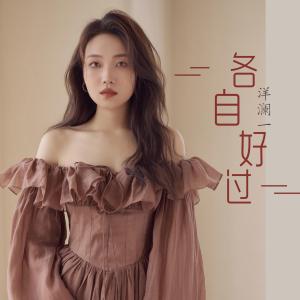 各自好过(dj子夏版)-钢琴谱