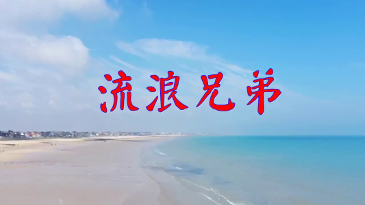 流浪兄弟-钢琴谱