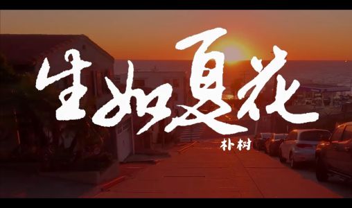 生如夏花-钢琴谱