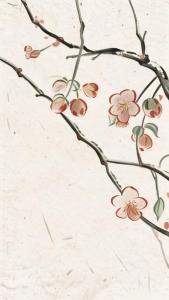 潇湘子(葫芦丝)-钢琴谱