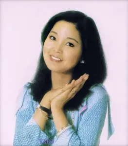 甜蜜蜜(古筝版)-钢琴谱