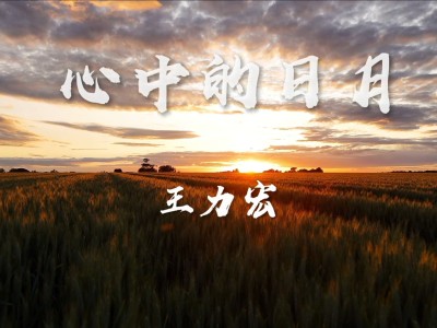 心中的日月-钢琴谱