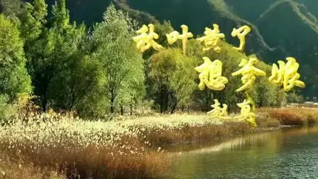 秋叶黄了想爹娘-钢琴谱