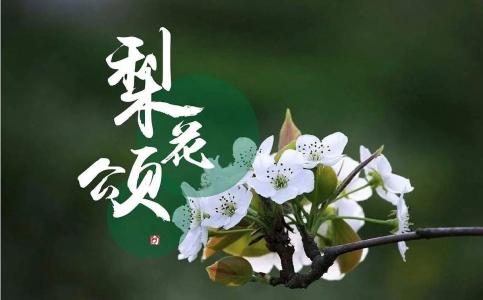 梨花颂-钢琴谱