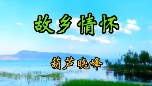 故乡情怀-钢琴谱