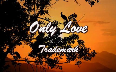 唯一的爱only love-钢琴谱