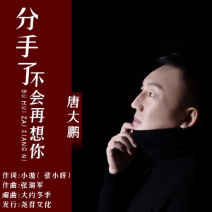 分手了不会再想你-钢琴谱