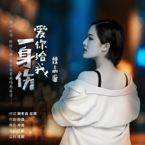 爱你给我一身伤-钢琴谱