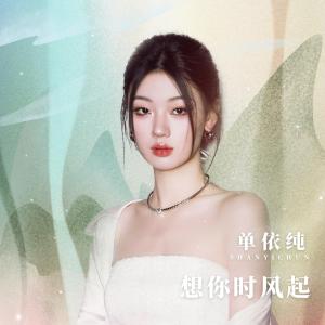 想你时风起-钢琴谱