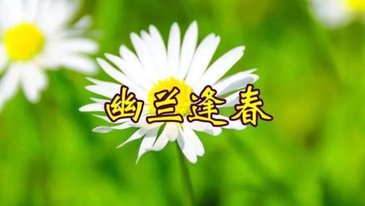 幽兰逢春(笛子)-钢琴谱