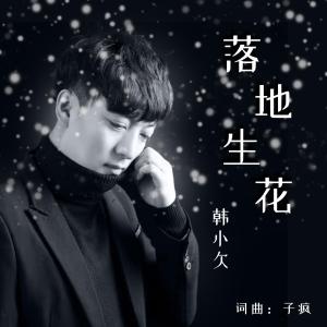 落地生花-钢琴谱