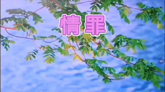 情罪-钢琴谱
