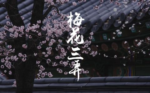 梅花三弄-钢琴谱