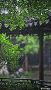风来听风雨来听雨-钢琴谱