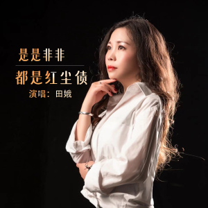 是是非非都是红尘债-钢琴谱