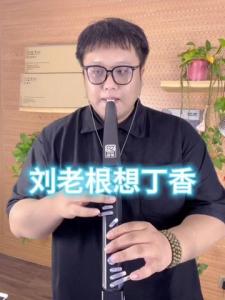 刘老根想丁香(片段）-钢琴谱