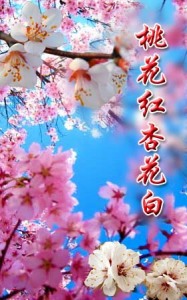 桃花红杏花白-钢琴谱
