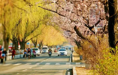北国之街(萨克斯）-钢琴谱