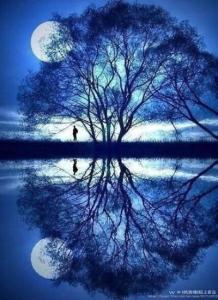 梦见你的那一夜-钢琴谱