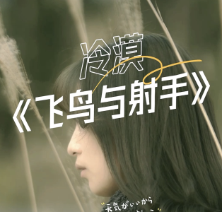 飞鸟与射手-钢琴谱