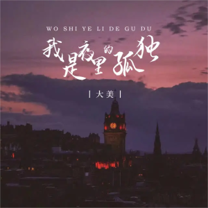 我是夜里的孤独-钢琴谱
